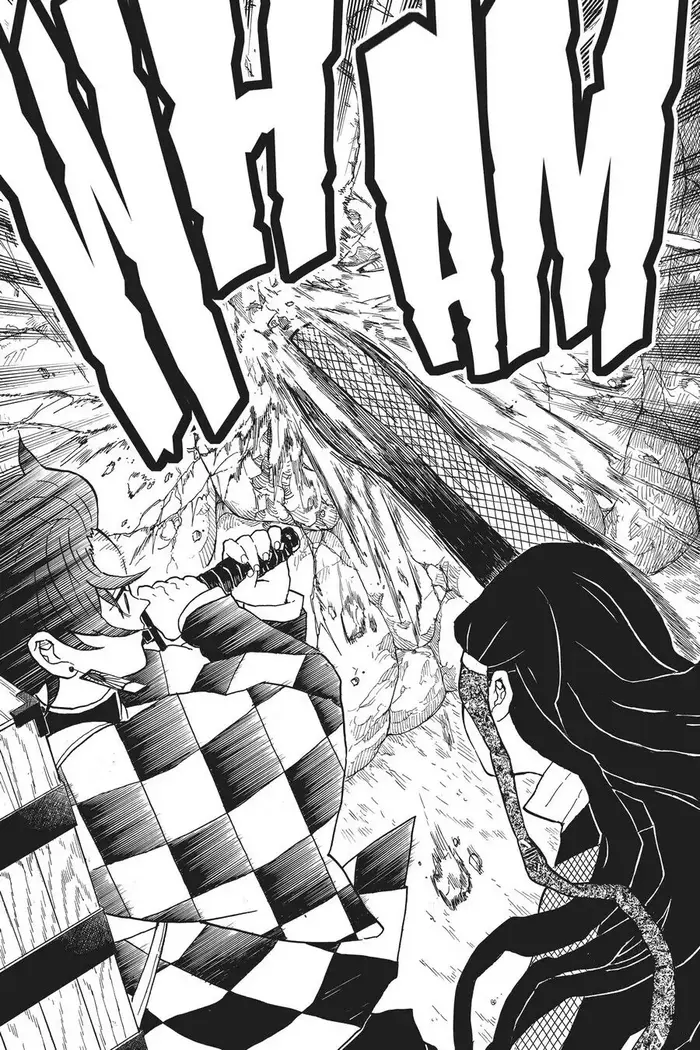 Demon Slayer Chapter 11 image 11_optimized